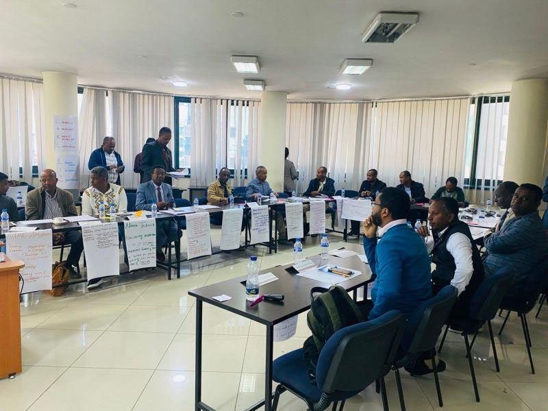 Training and Capacity Development